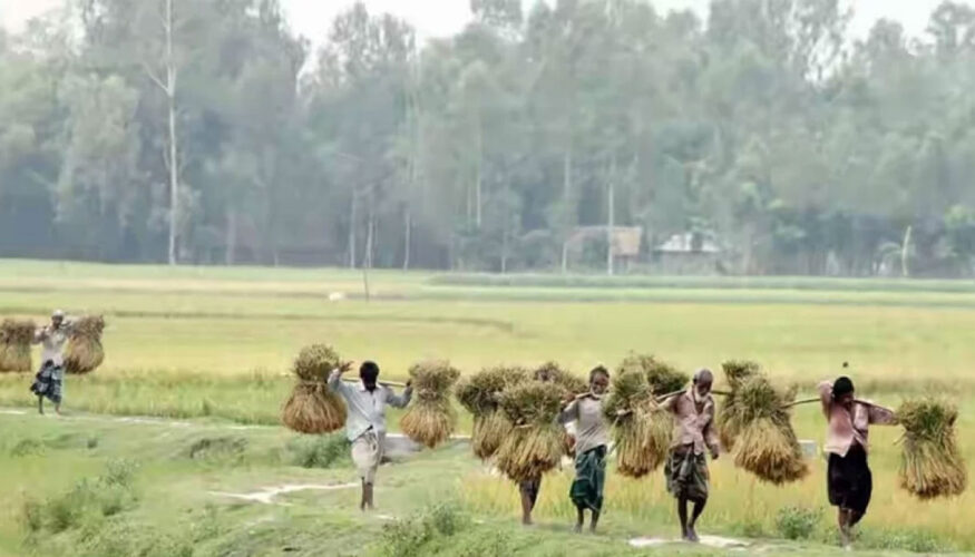 এলো হেমন্তকাল, আজ পয়লা কার্তিক